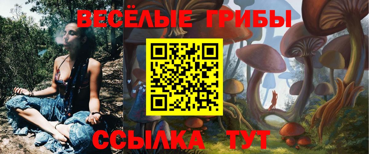 Псилоцибиновые грибы Cubensis  Вход с VPN  Ярцево 