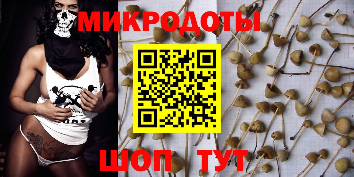 Псилоцибиновые грибы мухоморы Ярцево